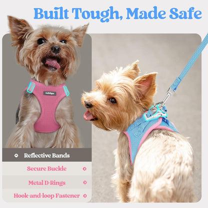 Dog Harness Small Sized and Leash Set, Step-in Puppy Pet Vest - Colors B
