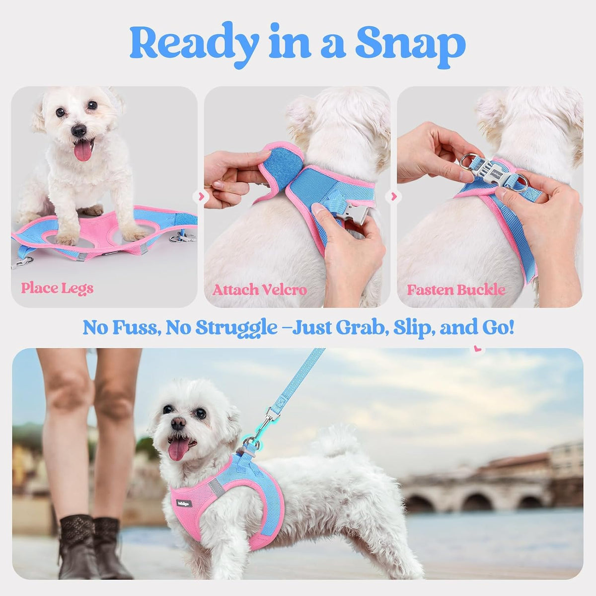 Dog Harness Small Sized and Leash Set, Step-in Puppy Pet Vest - Colors B