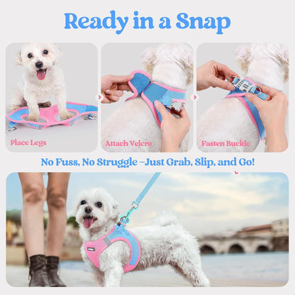 Dog Harness Small Sized and Leash Set, Step-in Puppy Pet Vest - Colors B