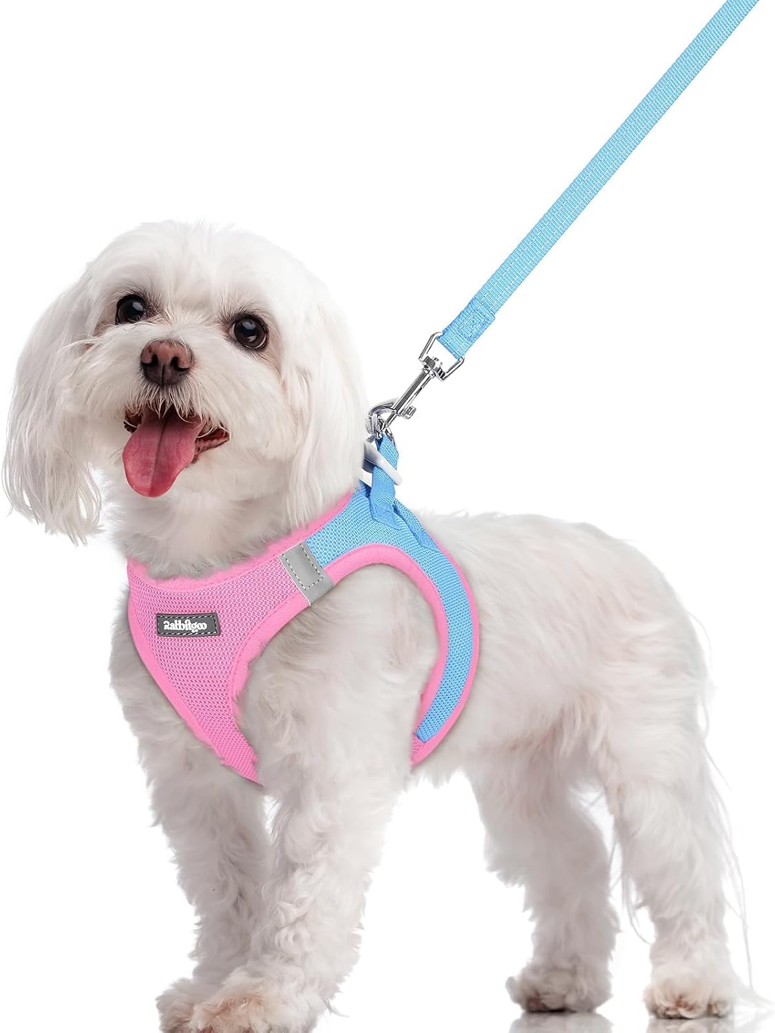 Dog Harness Small Sized and Leash Set, Step-in Puppy Pet Vest - Colors B