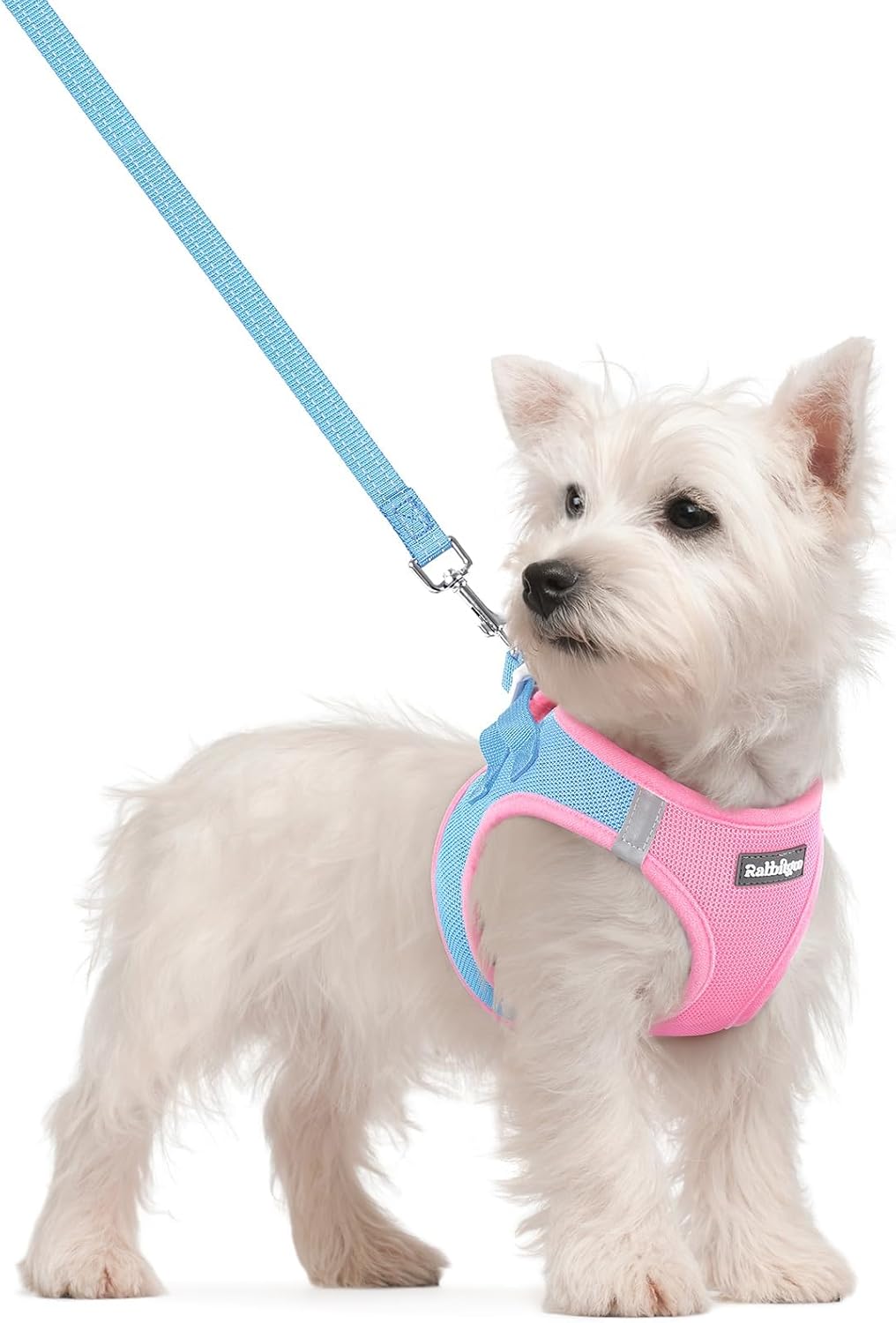 Dog Harness Small Sized and Leash Set, Step-in Puppy Pet Vest - Colors B