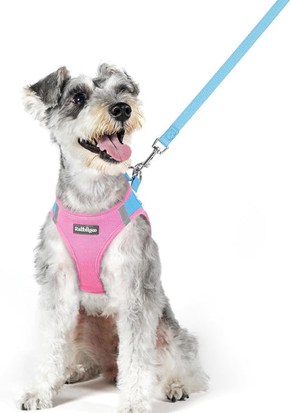 Dog Harness Small Sized and Leash Set, Step-in Puppy Pet Vest - Colors B