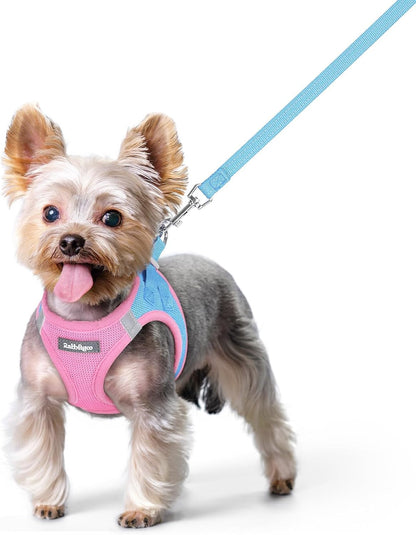 Dog Harness Small Sized and Leash Set, Step-in Puppy Pet Vest - Colors B
