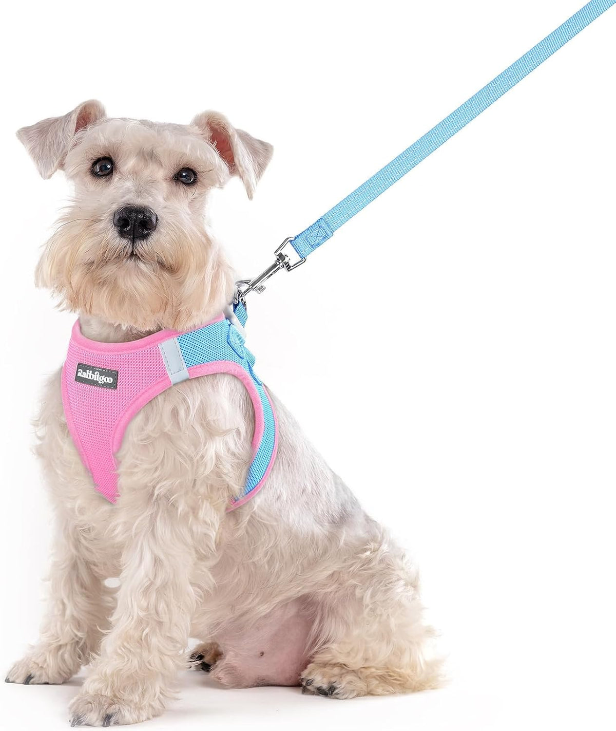 Dog Harness Small Sized and Leash Set, Step-in Puppy Pet Vest - Colors B