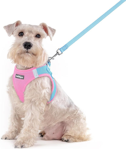 Dog Harness Small Sized and Leash Set, Step-in Puppy Pet Vest - Colors B