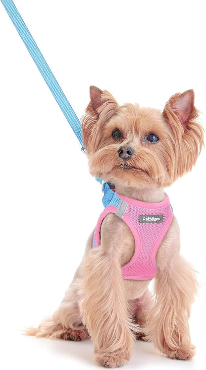 Dog Harness Small Sized and Leash Set, Step-in Puppy Pet Vest - Colors B