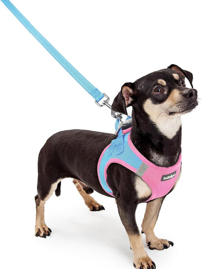 Dog Harness Small Sized and Leash Set, Step-in Puppy Pet Vest - Colors B
