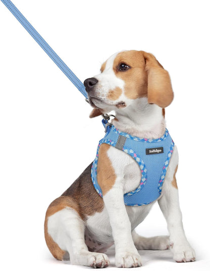 Dog Harness Small Sized and Leash Set, Step-in Puppy Pet Vest - Colors B