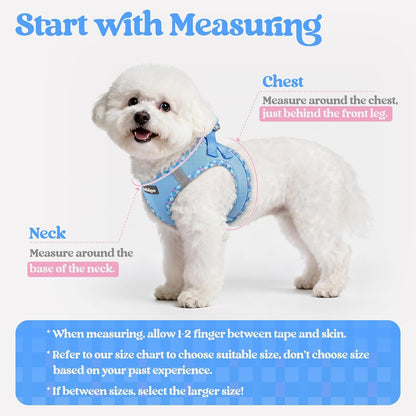Dog Harness Small Sized and Leash Set, Step-in Puppy Pet Vest - Colors B