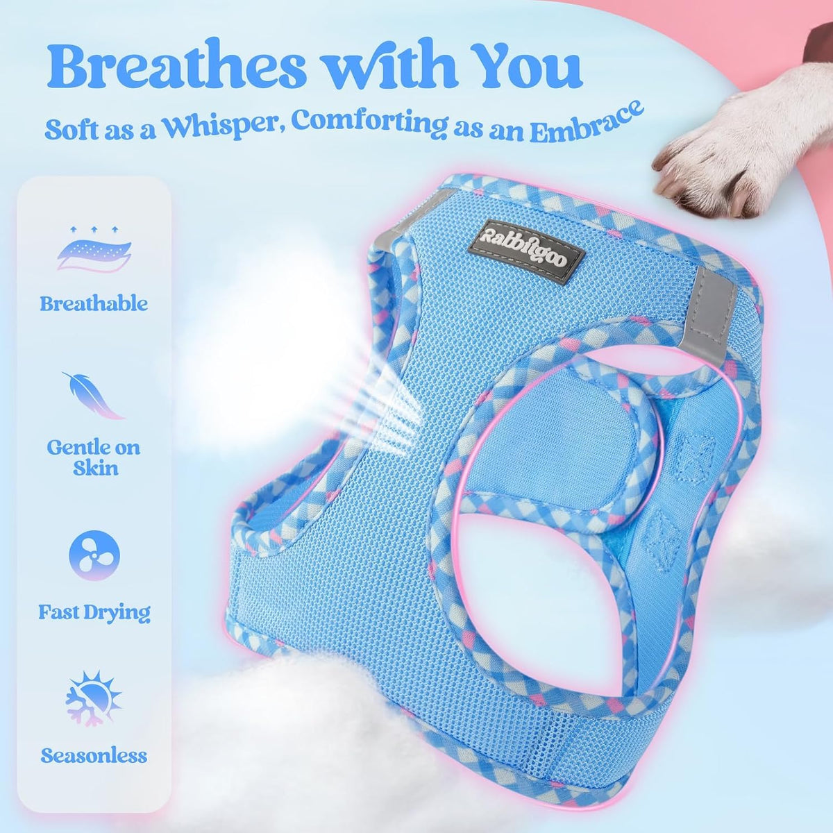 Dog Harness Small Sized and Leash Set, Step-in Puppy Pet Vest - Colors B
