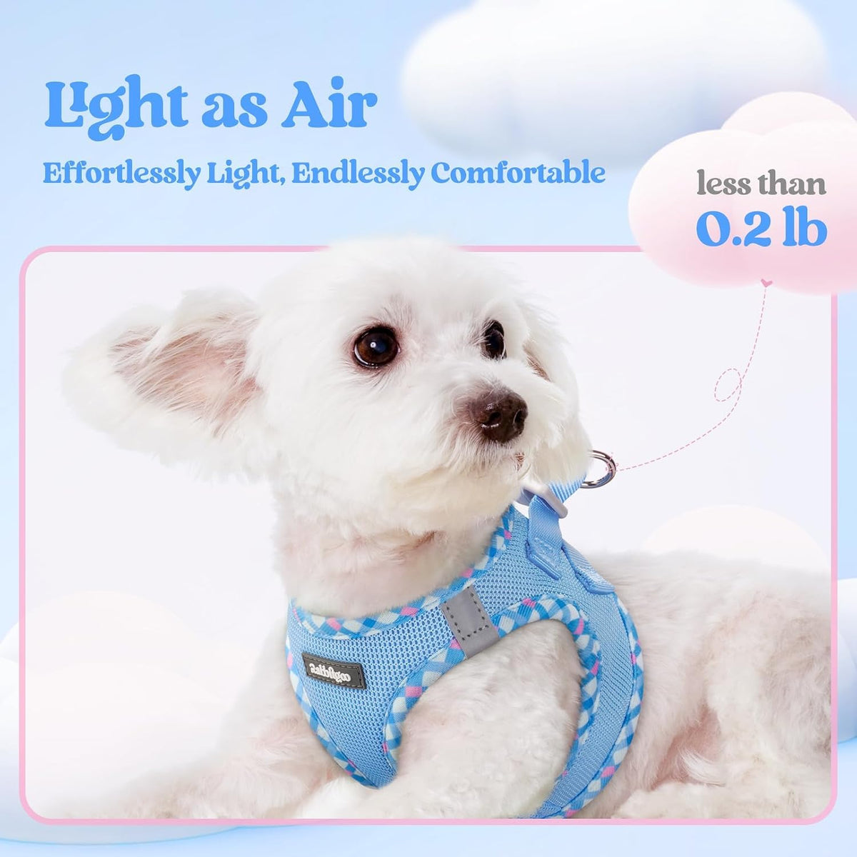 Dog Harness Small Sized and Leash Set, Step-in Puppy Pet Vest - Colors B