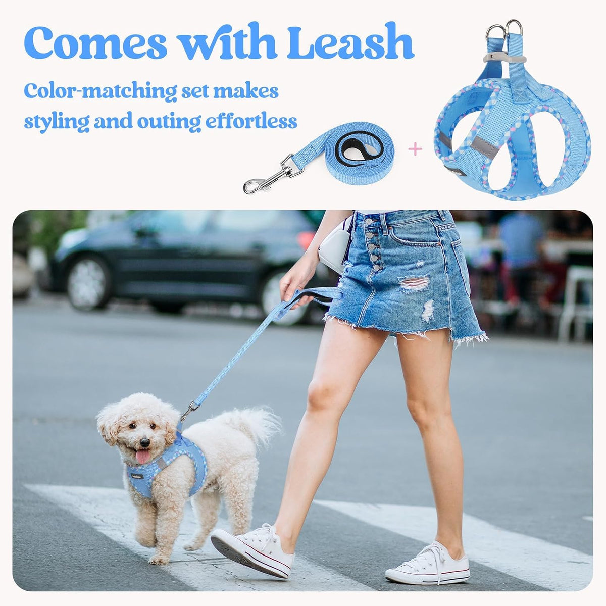 Dog Harness Small Sized and Leash Set, Step-in Puppy Pet Vest - Colors B