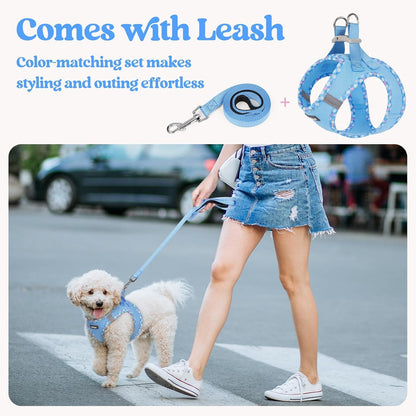Dog Harness Small Sized and Leash Set, Step-in Puppy Pet Vest - Colors B