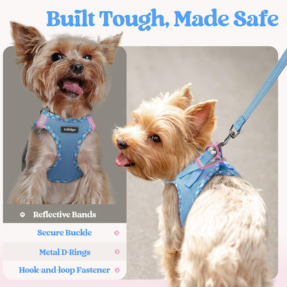 Dog Harness Small Sized and Leash Set, Step-in Puppy Pet Vest - Colors B