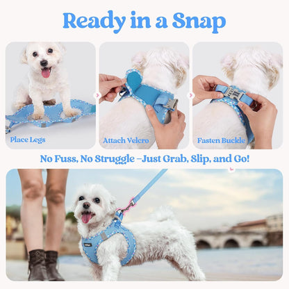 Dog Harness Small Sized and Leash Set, Step-in Puppy Pet Vest - Colors B