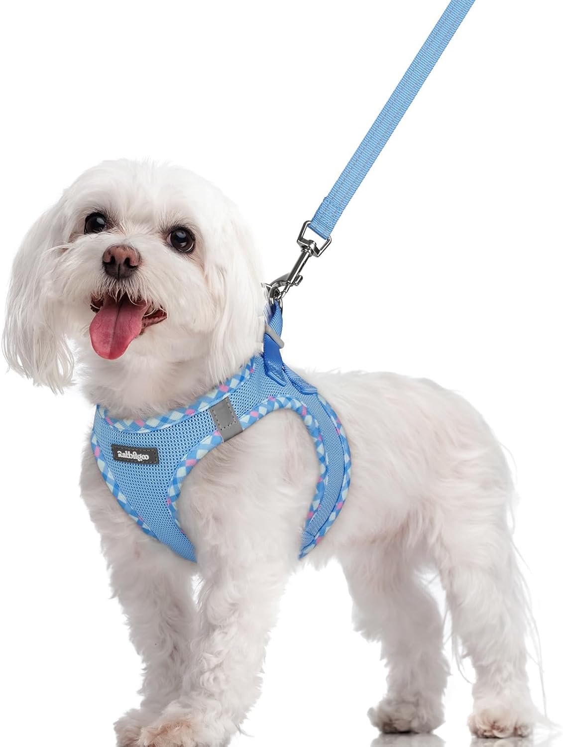 Dog Harness Small Sized and Leash Set, Step-in Puppy Pet Vest - Colors B