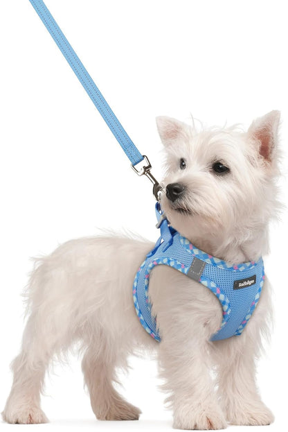 Dog Harness Small Sized and Leash Set, Step-in Puppy Pet Vest - Colors B