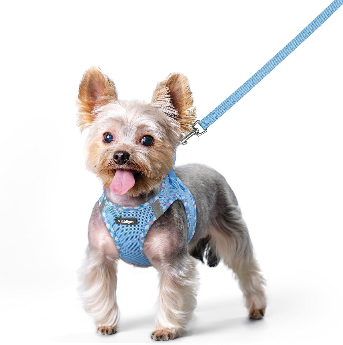 Dog Harness Small Sized and Leash Set, Step-in Puppy Pet Vest - Colors B