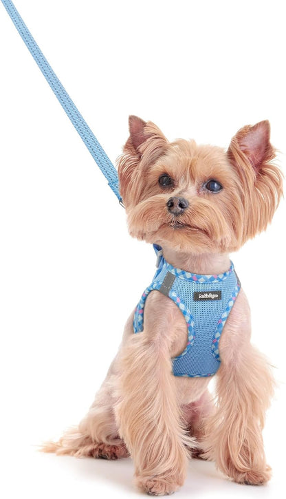 Dog Harness Small Sized and Leash Set, Step-in Puppy Pet Vest - Colors B