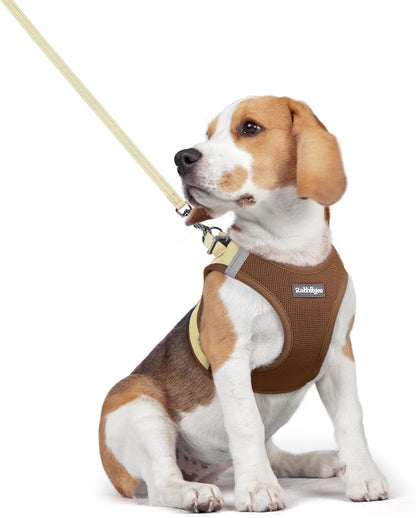 Dog Harness Small Sized and Leash Set, Step-in Puppy Pet Vest - Colors B