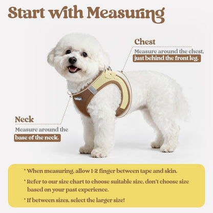 Dog Harness Small Sized and Leash Set, Step-in Puppy Pet Vest - Colors B