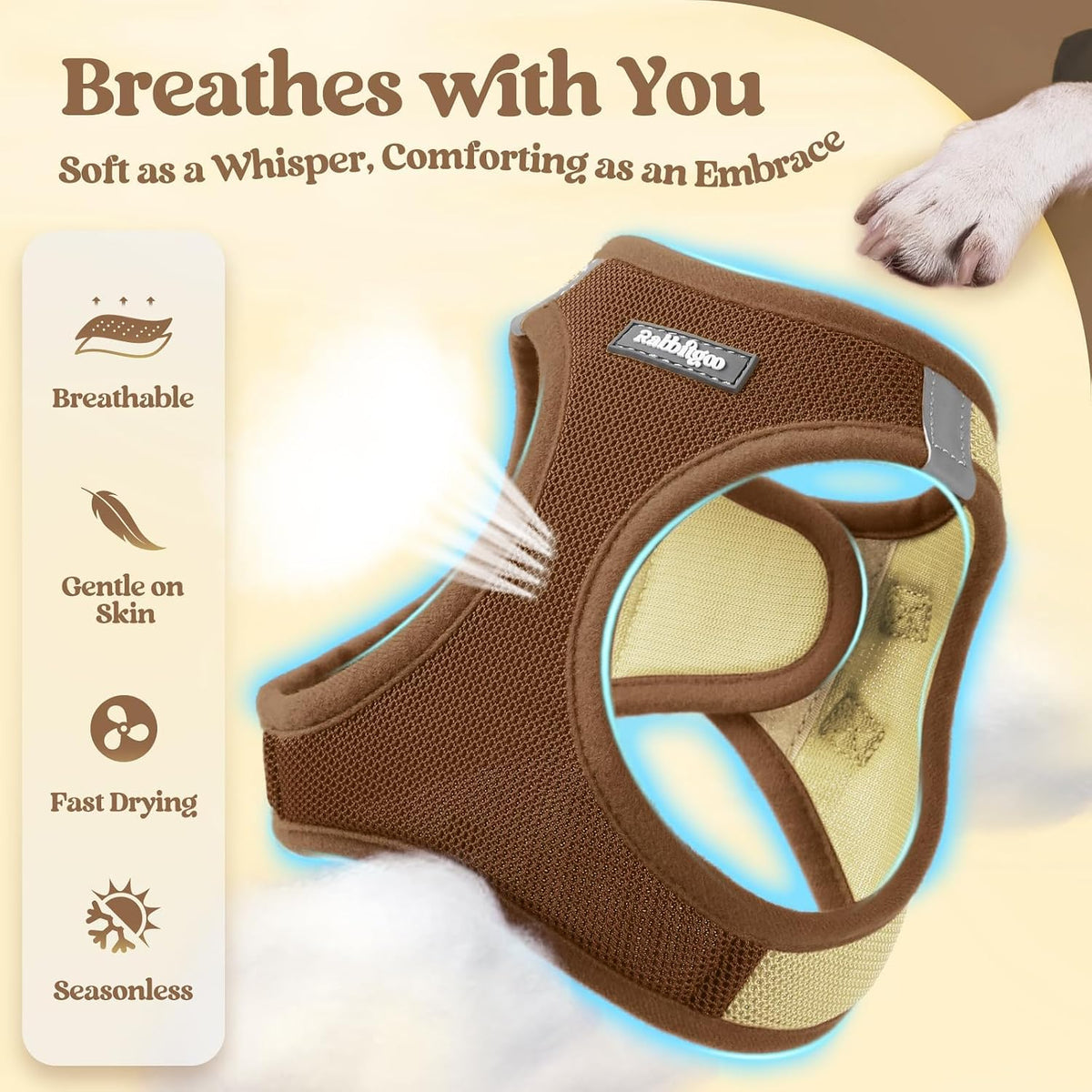 Dog Harness Small Sized and Leash Set, Step-in Puppy Pet Vest - Colors B