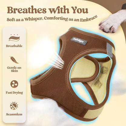 Dog Harness Small Sized and Leash Set, Step-in Puppy Pet Vest - Colors B