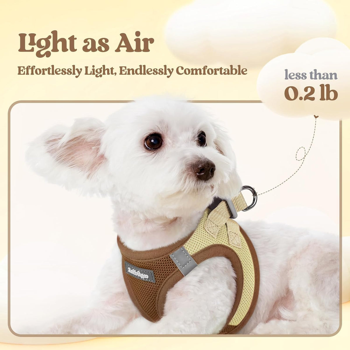 Dog Harness Small Sized and Leash Set, Step-in Puppy Pet Vest - Colors B