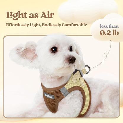 Dog Harness Small Sized and Leash Set, Step-in Puppy Pet Vest - Colors B