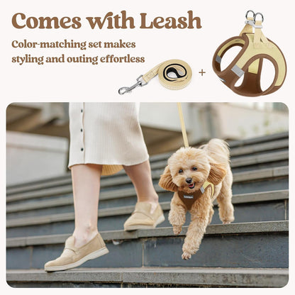 Dog Harness Small Sized and Leash Set, Step-in Puppy Pet Vest - Colors B