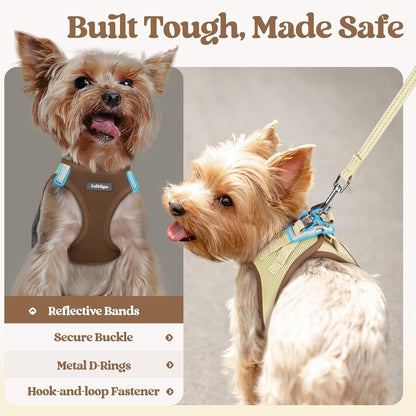 Dog Harness Small Sized and Leash Set, Step-in Puppy Pet Vest - Colors B