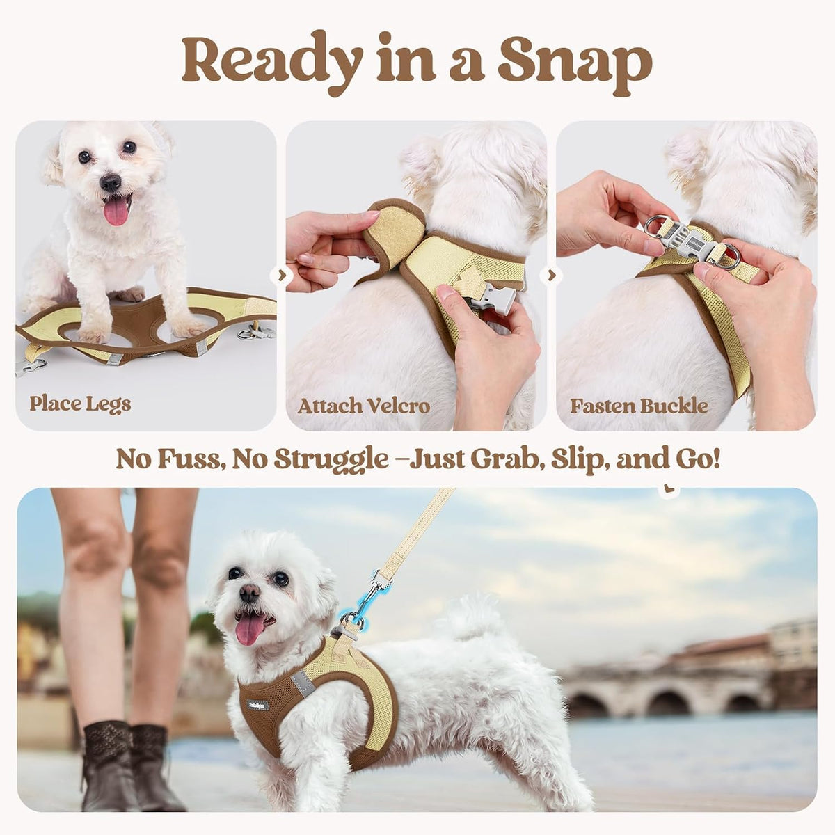 Dog Harness Small Sized and Leash Set, Step-in Puppy Pet Vest - Colors B