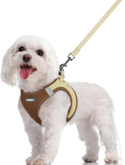 Dog Harness Small Sized and Leash Set, Step-in Puppy Pet Vest - Colors B