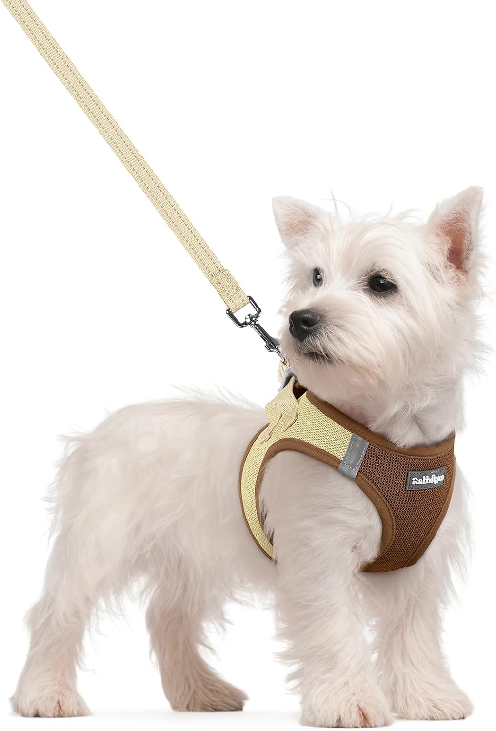 Dog Harness Small Sized and Leash Set, Step-in Puppy Pet Vest - Colors B