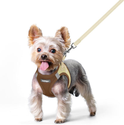 Dog Harness Small Sized and Leash Set, Step-in Puppy Pet Vest - Colors B