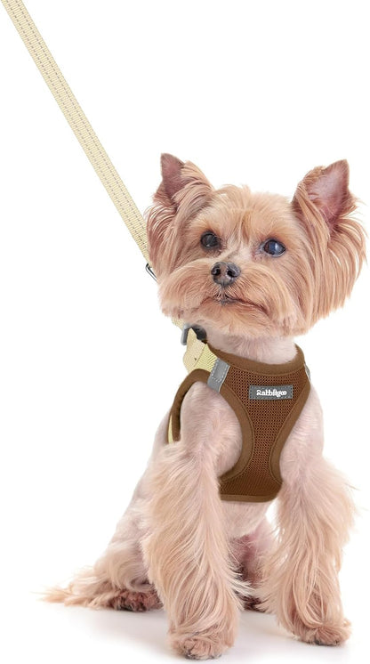 Dog Harness Small Sized and Leash Set, Step-in Puppy Pet Vest - Colors B