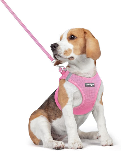 Dog Harness Small Sized and Leash Set, Step-in Puppy Pet Vest - Colors B