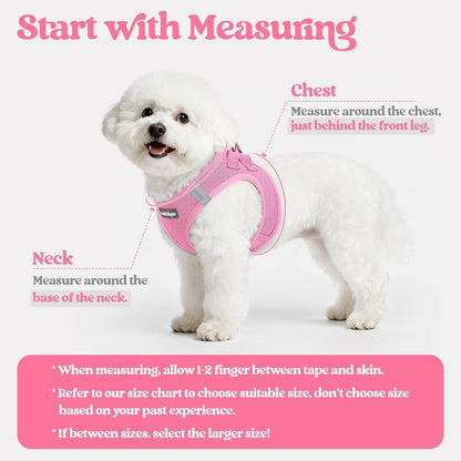 Dog Harness Small Sized and Leash Set, Step-in Puppy Pet Vest - Colors B