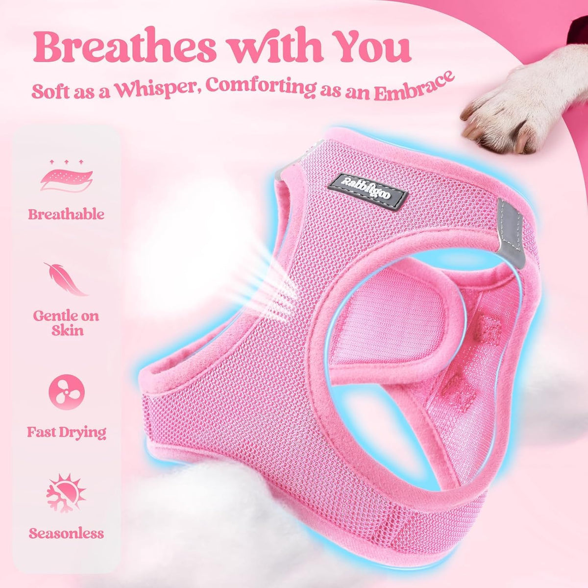 Dog Harness Small Sized and Leash Set, Step-in Puppy Pet Vest - Colors B