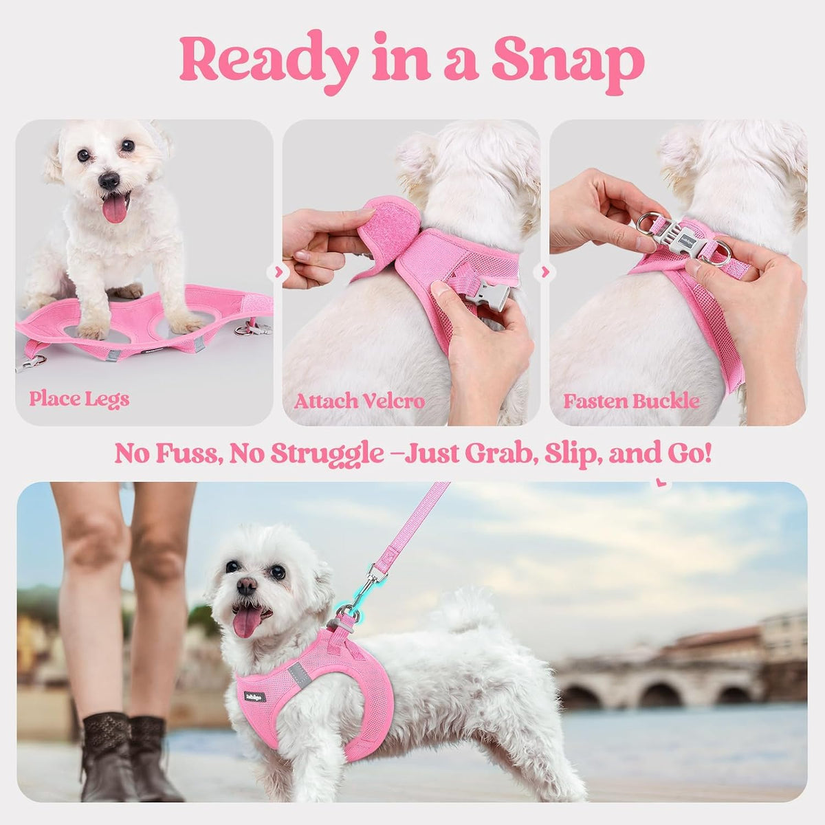 Dog Harness Small Sized and Leash Set, Step-in Puppy Pet Vest - Colors B