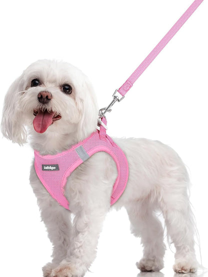 Dog Harness Small Sized and Leash Set, Step-in Puppy Pet Vest - Colors B