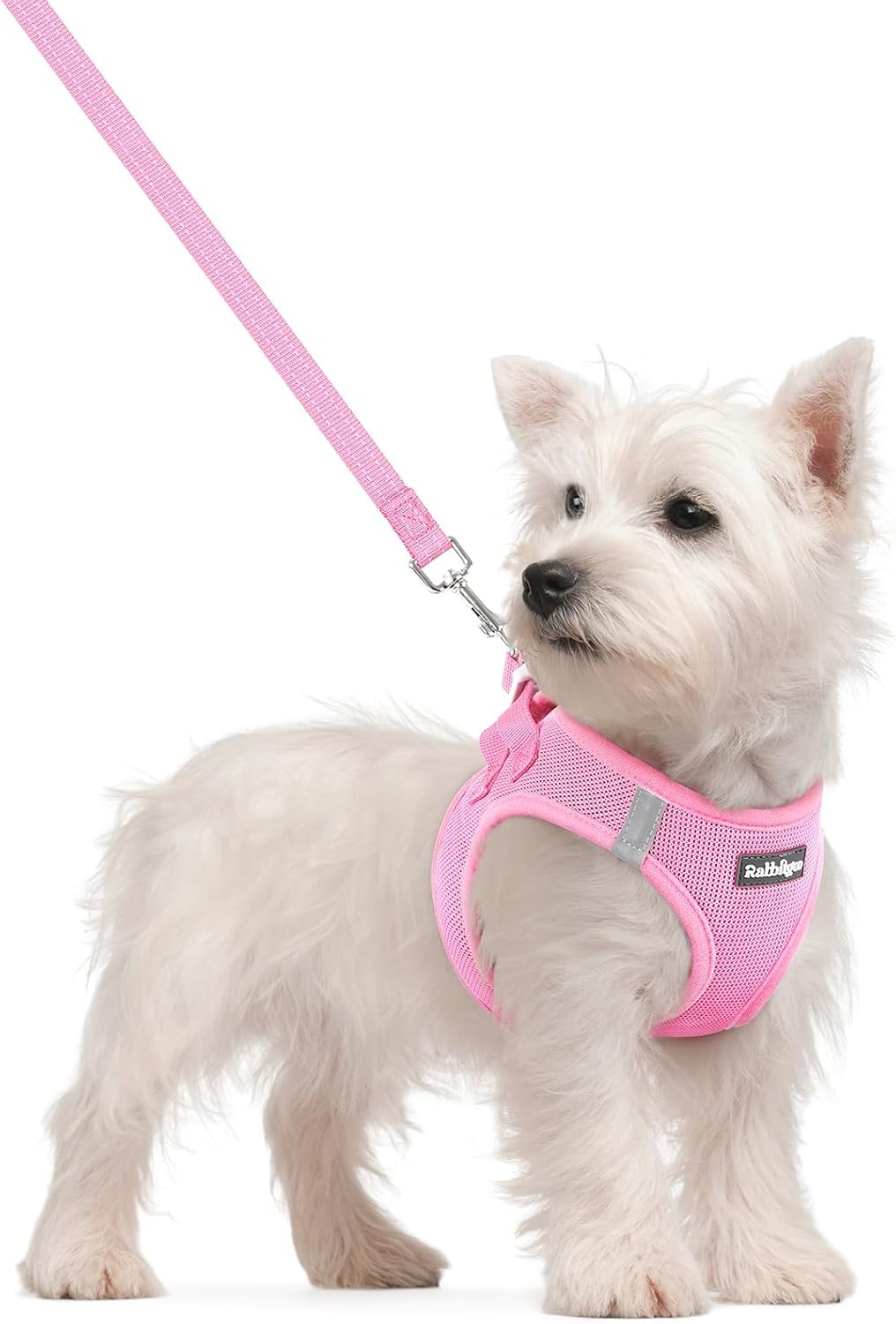 Dog Harness Small Sized and Leash Set, Step-in Puppy Pet Vest - Colors B