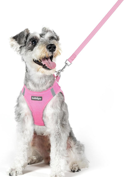 Dog Harness Small Sized and Leash Set, Step-in Puppy Pet Vest - Colors B
