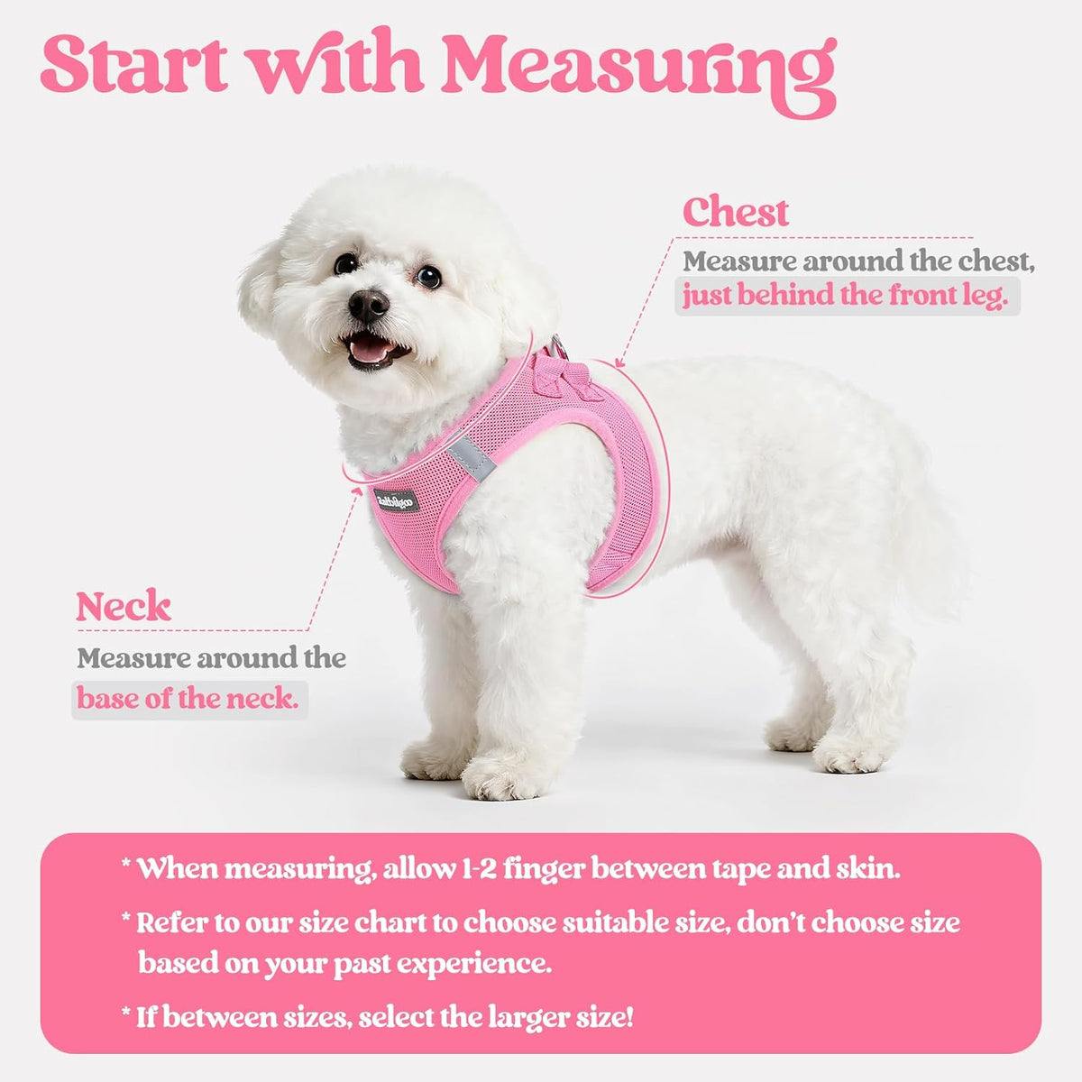 Dog Harness Small Sized and Leash Set, Step-in Puppy Pet Vest - Colors B