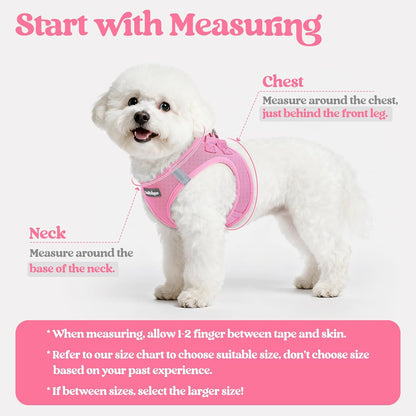 Dog Harness Small Sized and Leash Set, Step-in Puppy Pet Vest - Colors B