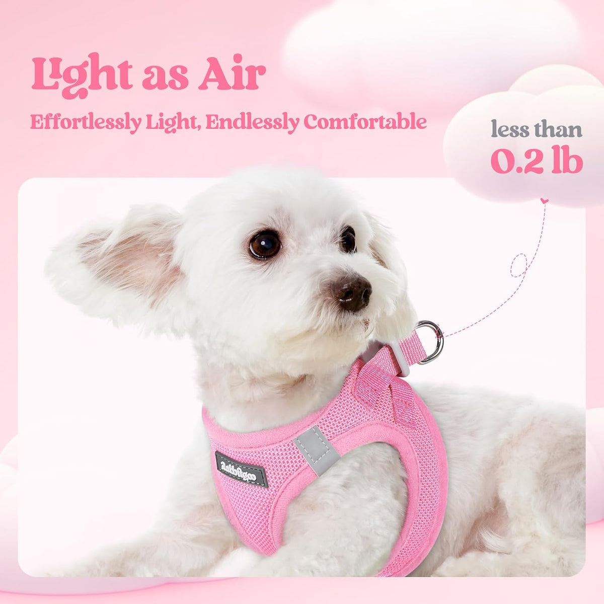 Dog Harness Small Sized and Leash Set, Step-in Puppy Pet Vest - Colors B