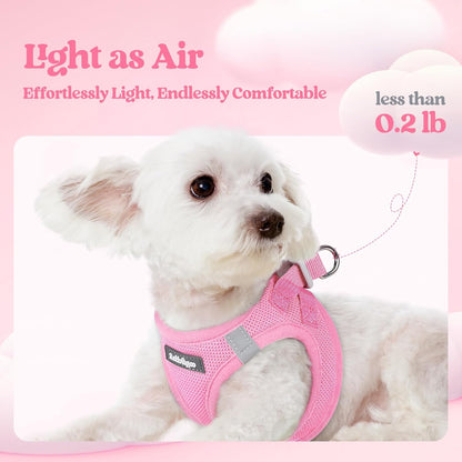 Dog Harness Small Sized and Leash Set, Step-in Puppy Pet Vest - Colors B