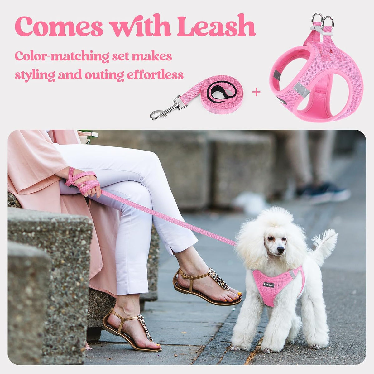 Dog Harness Small Sized and Leash Set, Step-in Puppy Pet Vest - Colors B