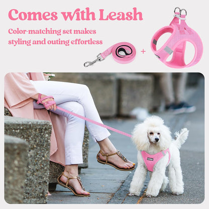 Dog Harness Small Sized and Leash Set, Step-in Puppy Pet Vest - Colors B
