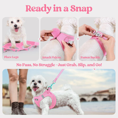 Dog Harness Small Sized and Leash Set, Step-in Puppy Pet Vest - Colors B